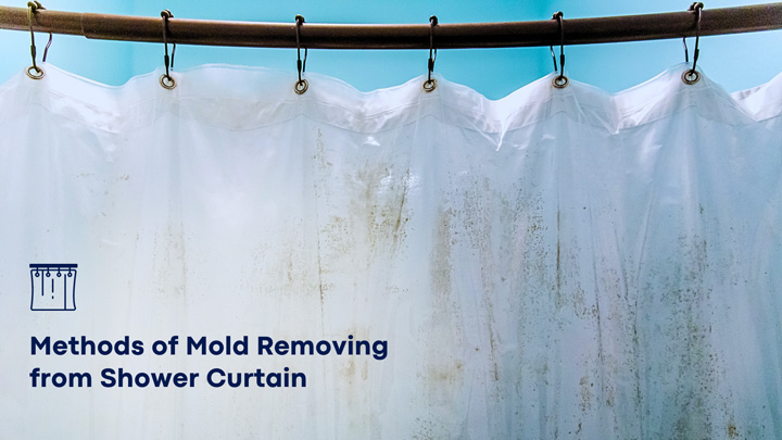 Process of eliminating mold from shower curtain